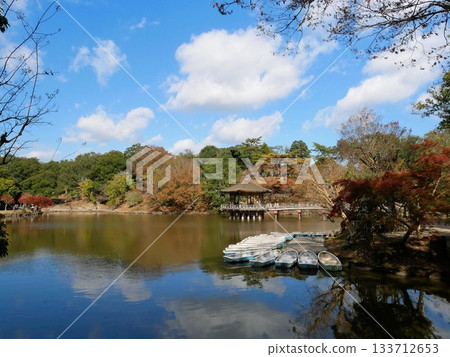 Beautiful Sagi Pond (Nara City, Nara Park) 133712653
