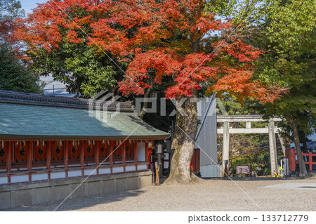 京都八坂神社十神社與秋葉 133712779