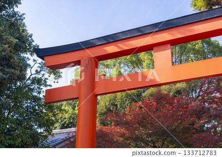 京都八坂神社、東北門鳥居、秋葉 133712783