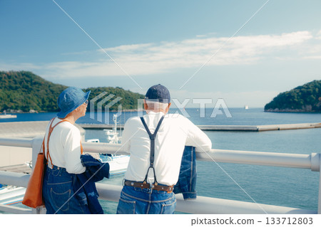 Travel scene of a senior couple in their 60s standing by the seaside 133712803