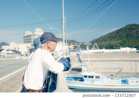 Travel scene of a senior couple in their 60s standing by the seaside 133712807
