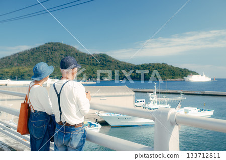 旅行場景:一對六十多歲的老年夫妻站在海邊 旅行場景:一對六十多歲的老年夫妻站在海邊 133712811