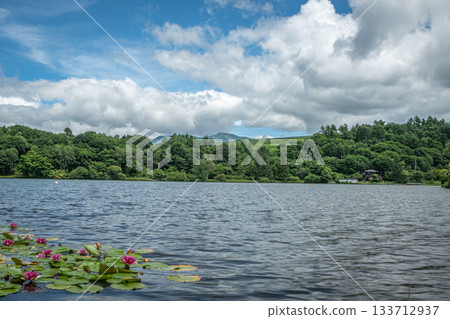夏季的巴拉吉湖和睡蓮－藍天下的高原湖景（群馬縣妻戀村） 133712937