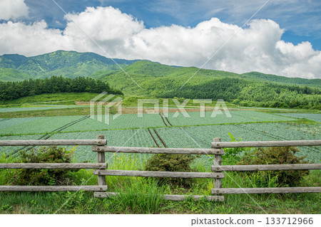從群馬縣妻戀村愛西之丘眺望夏季高原和廣闊的田野 從群馬縣妻戀村愛西之丘眺望夏季高原和廣闊的田野 133712966
