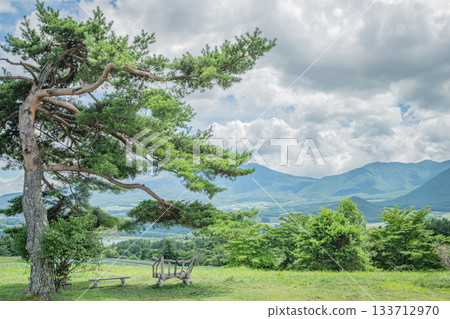群馬縣妻戀村愛賽之丘上孤鬆的壯麗夏日景色 群馬縣妻戀村愛賽之丘上孤鬆的壯麗夏日景色 133712970