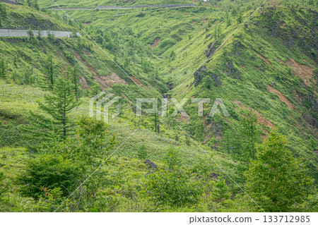 Deep green valley and summer mountain scenery seen from the observation deck on National Route 292 in Kusatsu Town, Gunma Prefecture Deep green valley and summer mountain scenery seen from the observation deck on National Route 292 in Kusatsu Town, Gunma Prefecture 133712985