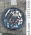 Manhole 133713006