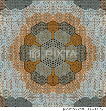 Elegant Floral & Vintage Indian-Pakistani Embroidery Patterns, Intricate Phulkari, Kantha & Chikankari Stitch Motifs for Crafts, Fabrics & DIY Projects 133713157