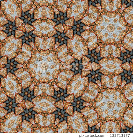 Elegant Floral & Vintage Indian-Pakistani Embroidery Patterns, Intricate Phulkari, Kantha & Chikankari Stitch Motifs for Crafts, Fabrics & DIY Projects 133713177