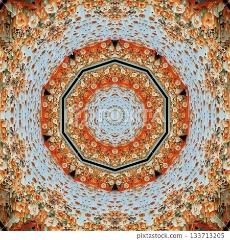 Elegant Floral & Vintage Indian-Pakistani Embroidery Patterns, Intricate Phulkari, Kantha & Chikankari Stitch Motifs for Crafts, Fabrics & DIY Projects 133713205