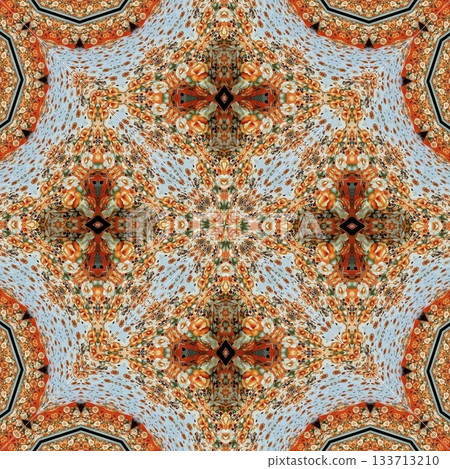 Elegant Floral & Vintage Indian-Pakistani Embroidery Patterns, Intricate Phulkari, Kantha & Chikankari Stitch Motifs for Crafts, Fabrics & DIY Projects 133713210