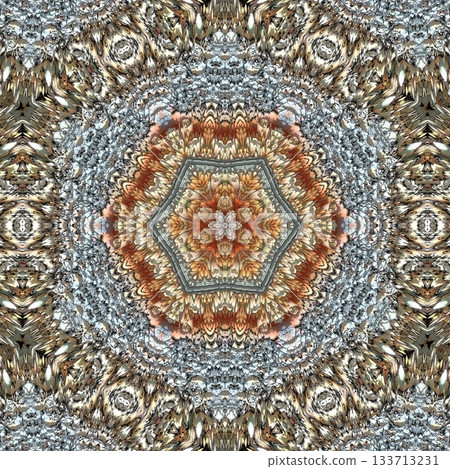 Elegant Floral & Vintage Indian-Pakistani Embroidery Patterns, Intricate Phulkari, Kantha & Chikankari Stitch Motifs for Crafts, Fabrics & DIY Projects 133713231