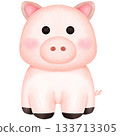 pig isolated on white background 133713305