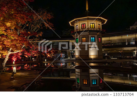 Illuminated tower and autumn leaves reflected in the water (Autumn night view) Illuminated tower and autumn leaves reflected in the water (Autumn night view) 133713704