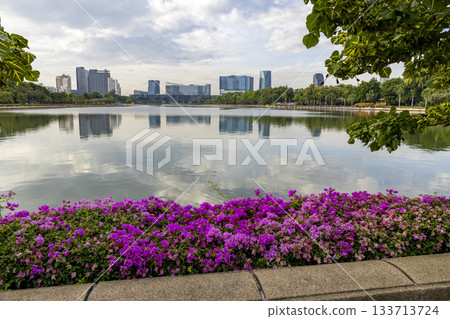 Benjakitti Park and skyscrapers in Bangkok, Thailand 133713724