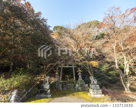 深秋的神社景色 深秋的神社景色 133713830