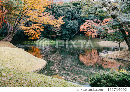 白絲瀑布，小石川後樂園，東京 133714092