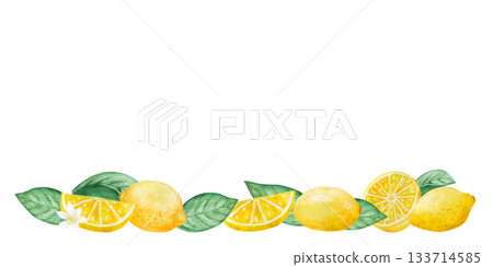 Watercolor lemons, leaves and flowers with branch isolated illustration set. Simple citrus fruits clip art for summer 133714585