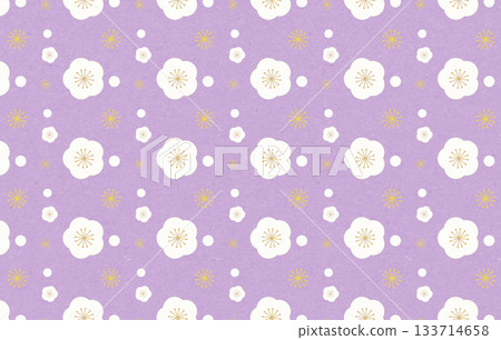 梅花背景圖 133714658