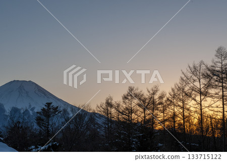 Mount Fuji in winter and the sun setting over the deciduous larch forest Mount Fuji in winter and the sun setting over the deciduous larch forest 133715122