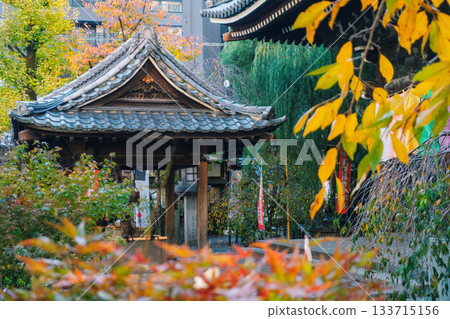 Autumn scenery of the temple grounds and the Chozuya (purification fountain) at Rokkakudo Hall of Chohoji Temple on Mount Shiun in Kyoto 133715156