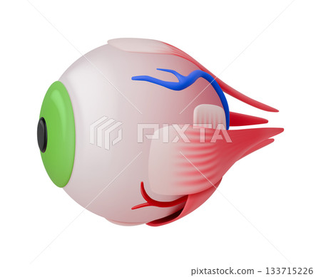 Surreal Fish Eye Creature in 3D Illustration Surreal Fish Eye Creature in 3D Illustration 133715226