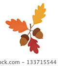 set of autumn leaves 133715544