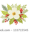 Christmas poinsettia with red berries  133715545
