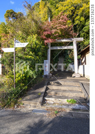 Tenjin Forest, Tenjin Shrine Approach, Sosa City, Chiba Prefecture Tenjin Forest, Tenjin Shrine Approach, Sosa City, Chiba Prefecture 133716238