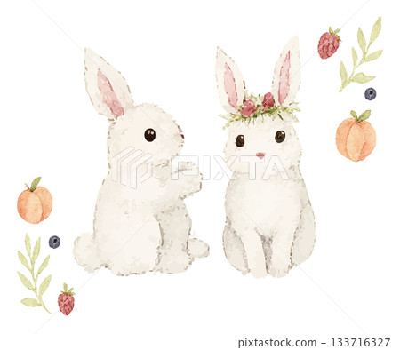 Rabbit and fruit watercolor style 133716327