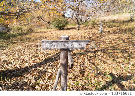 Atago Mountain Signpost (Okumusashi) 133716651