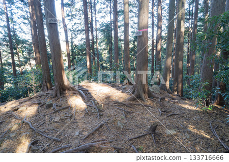 西大峰山頂(奧武藏) 西大峰山頂(奧武藏) 133716666