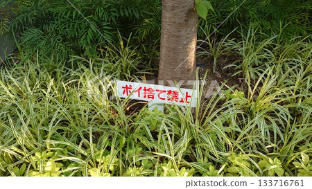 Do not litter 133716761