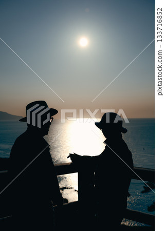 Silhouette of a senior couple looking at the sea at sunset 133716852