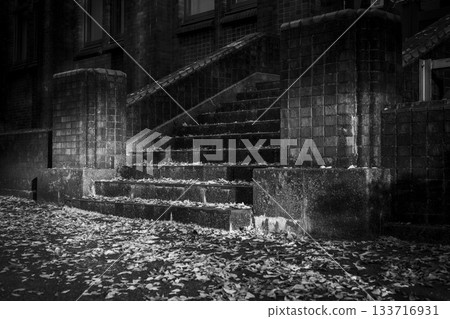 Stairs and fallen leaves in a historic building 133716931