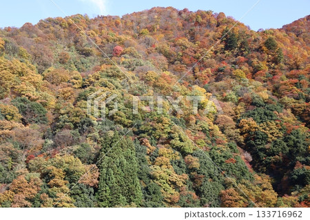 The mountains of Unazuki Onsen dyed in autumn leaves and the blue sky The mountains of Unazuki Onsen dyed in autumn leaves and the blue sky 133716962