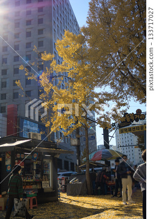 Autumn colors of Myeongdong cityscape 133717027