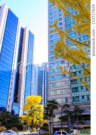 明洞城市景觀的秋色 明洞城市景觀的秋色 133717029