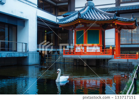 Prince's Hall and swans in the pond at Rokkakudo Hall of Chohoji Temple, Mount Shiun, Kyoto 133717151