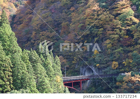 秋葉染紅了橫跨宇奈月溫泉群山的紅色橋樑。 133717234