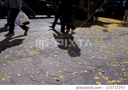 Silhouettes of people passing by on a sidewalk in autumn 133717247