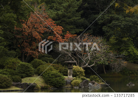 東京六義園的秋景 東京六義園的秋景 133717285