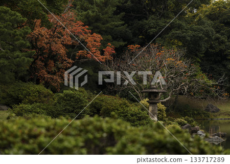 東京六義園的秋景 133717289