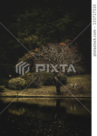 東京六義園的秋景 東京六義園的秋景 133717310