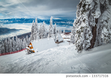 Snowy winter scenery with snow covered pines and wooden houses 133717316