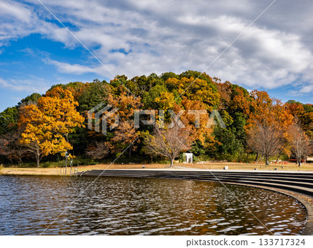 Autumn park scenery with colorful trees (21st Century Forest and Square, Matsudo City, Chiba Prefecture) Autumn park scenery with colorful trees (21st Century Forest and Square, Matsudo City, Chiba Prefecture) 133717324