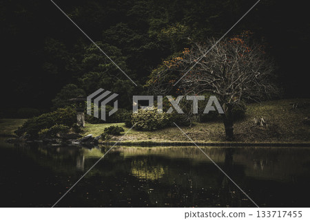 Autumn scenery of a Japanese garden, Rikugien Garden, Tokyo 133717455