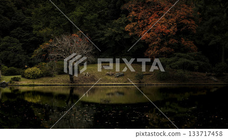 Autumn scenery of a Japanese garden, Rikugien Garden, Tokyo 133717458