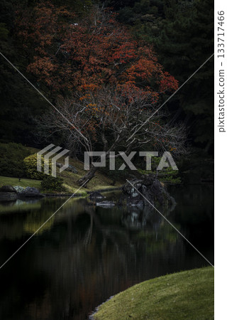 Autumn scenery of a Japanese garden, Rikugien Garden, Tokyo Autumn scenery of a Japanese garden, Rikugien Garden, Tokyo 133717466