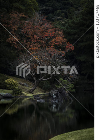 東京六義園的秋景 東京六義園的秋景 133717468